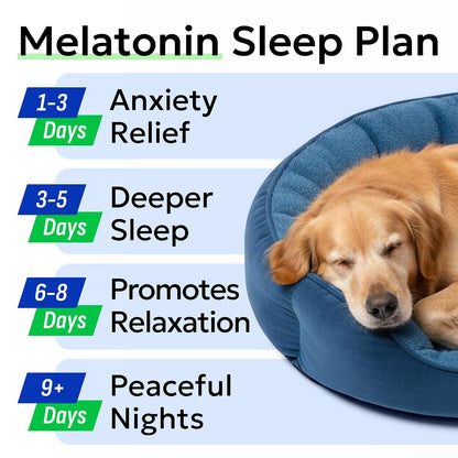 Hemp Dog Calming Chews - Stress, Travel, Anxiety Relief Treats