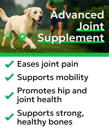 Hemp Dog Calming Chews - Stress, Travel, Anxiety Relief Treats