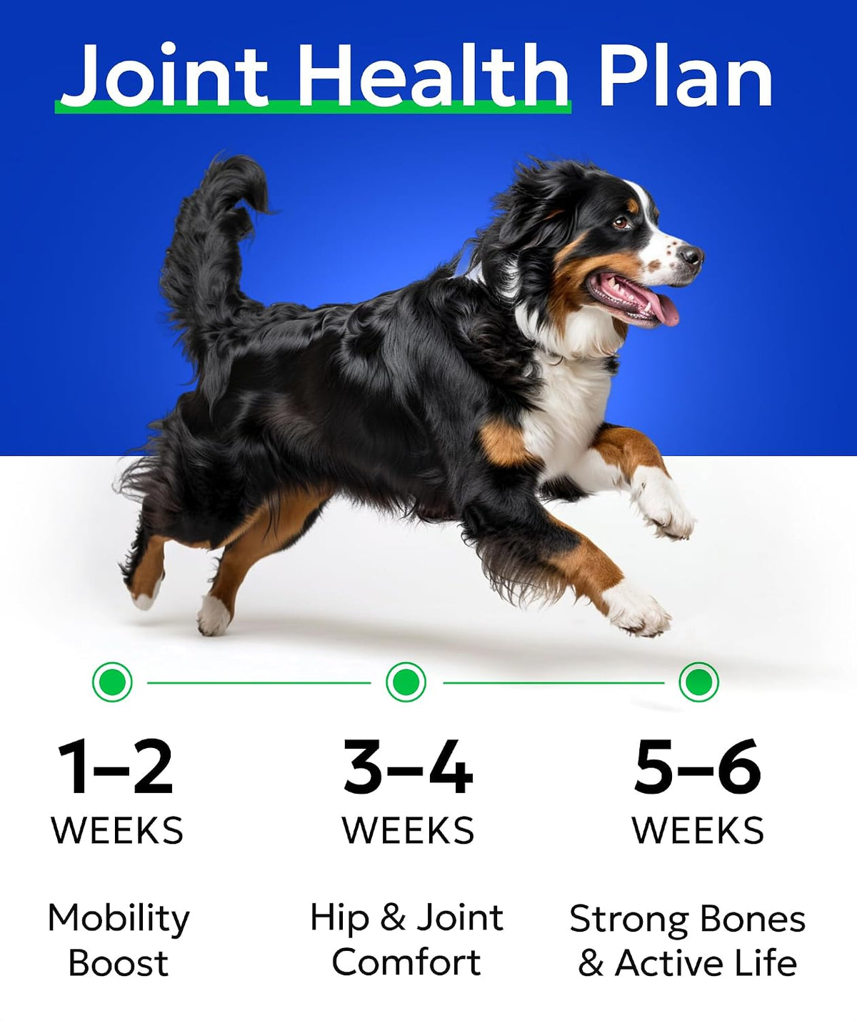 Hemp Dog Calming Chews - Stress, Travel, Anxiety Relief Treats