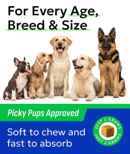 Hemp Dog Calming Chews - Stress, Travel, Anxiety Relief Treats