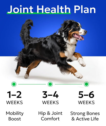 Hemp Dog Calming Chews - Stress, Travel, Anxiety Relief Treats