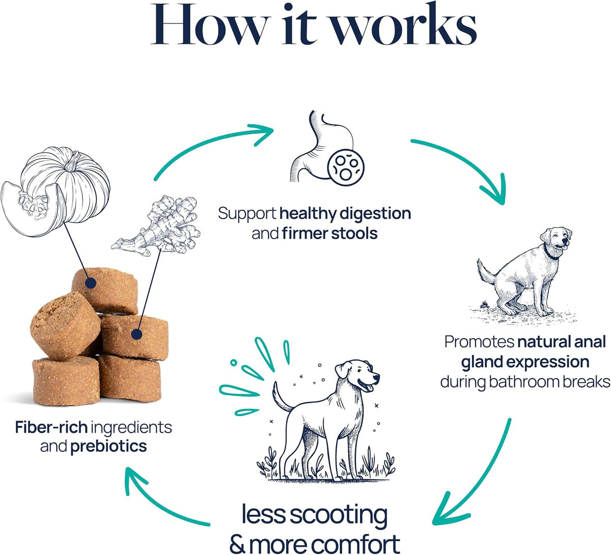 Smart Vitality Dental Support Dog Soft Chews