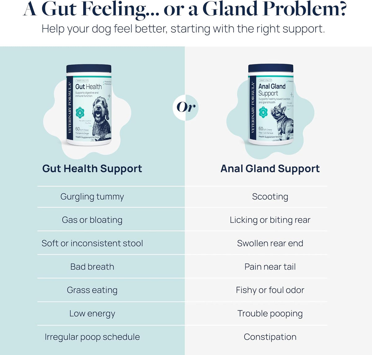 Smart Vitality Dental Support Dog Soft Chews