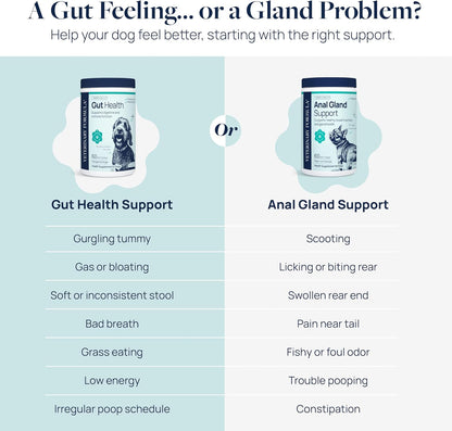 Smart Vitality Dental Support Dog Soft Chews