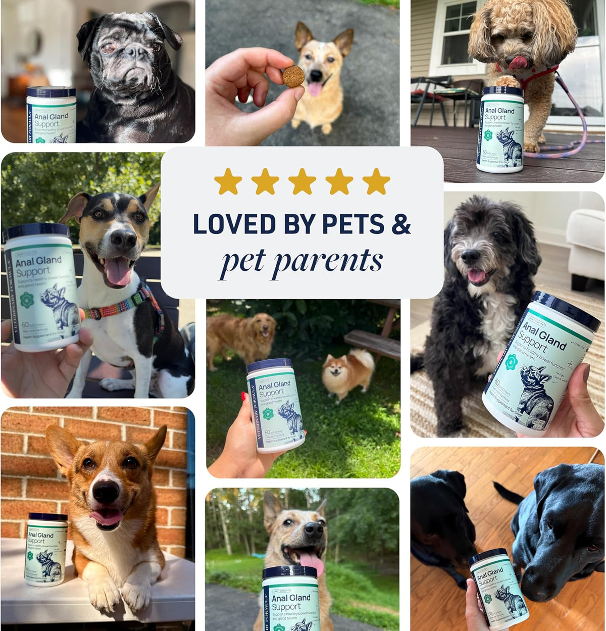 Smart Vitality Dental Support Dog Soft Chews
