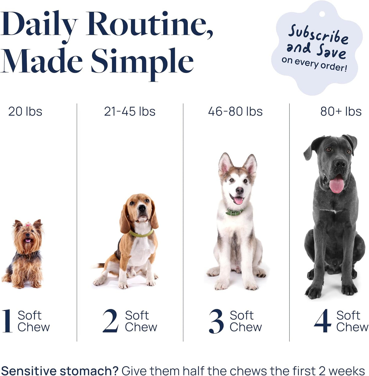 Smart Vitality Dental Support Dog Soft Chews