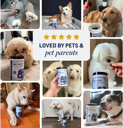 Smart Vitality Dental Support Dog Soft Chews