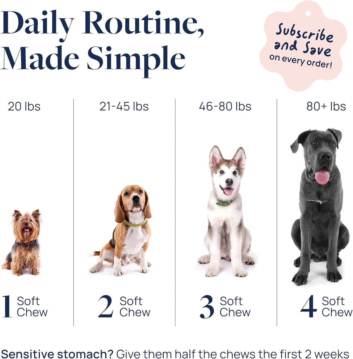 Smart Vitality Dental Support Dog Soft Chews