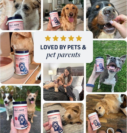 Smart Vitality Dental Support Dog Soft Chews