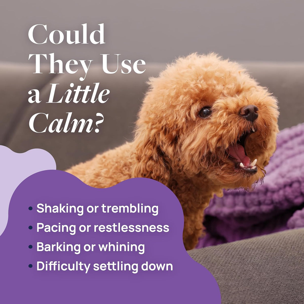 Smart Vitality Dental Support Dog Soft Chews