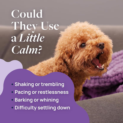 Smart Vitality Dental Support Dog Soft Chews
