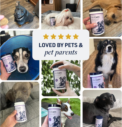 Smart Vitality Dental Support Dog Soft Chews