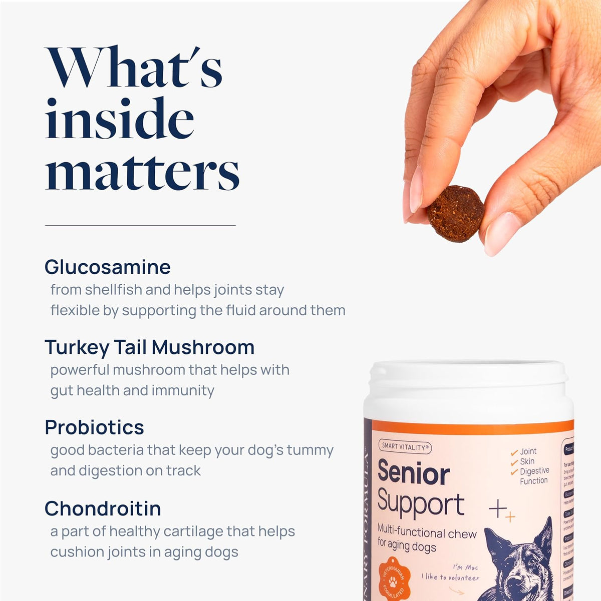 Smart Vitality Dental Support Dog Soft Chews