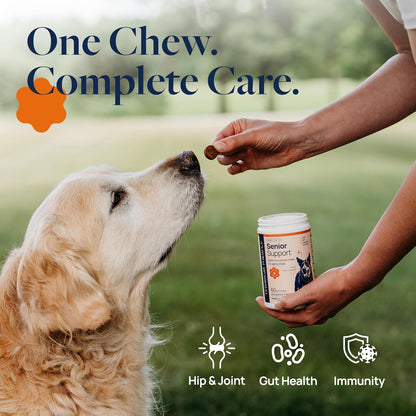 Smart Vitality Dental Support Dog Soft Chews