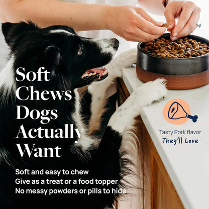 Smart Vitality Dental Support Dog Soft Chews