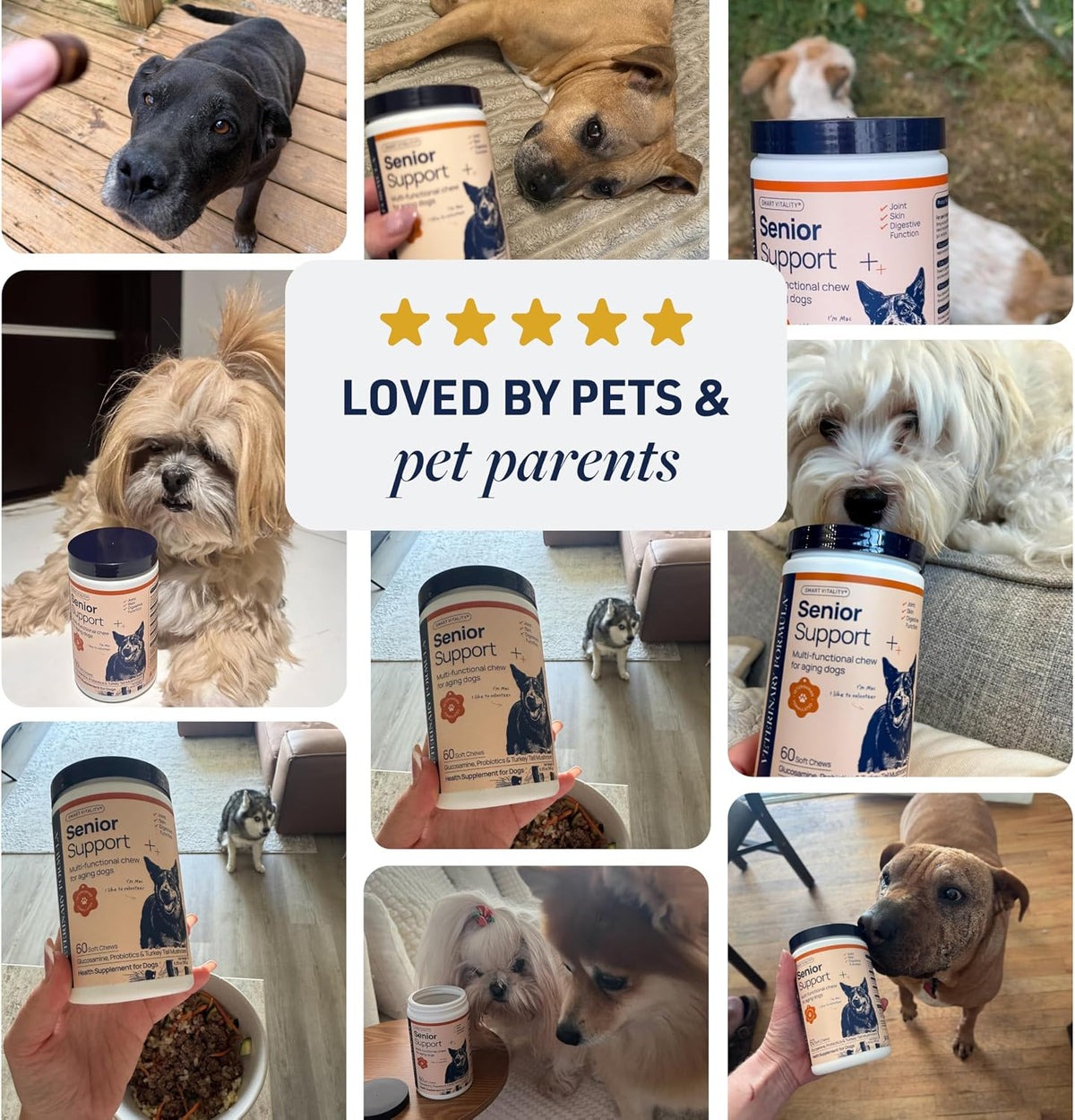 Smart Vitality Dental Support Dog Soft Chews