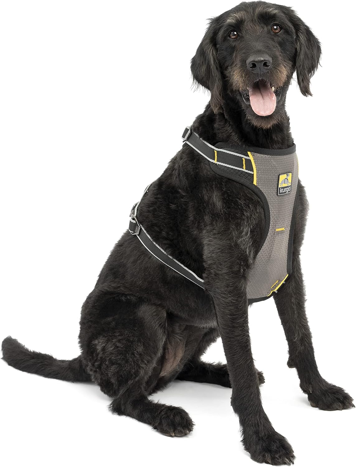 Impact Harness, Black/Charcoal, Extra Large