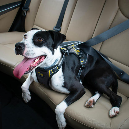 Impact Harness, Black/Charcoal, Extra Large