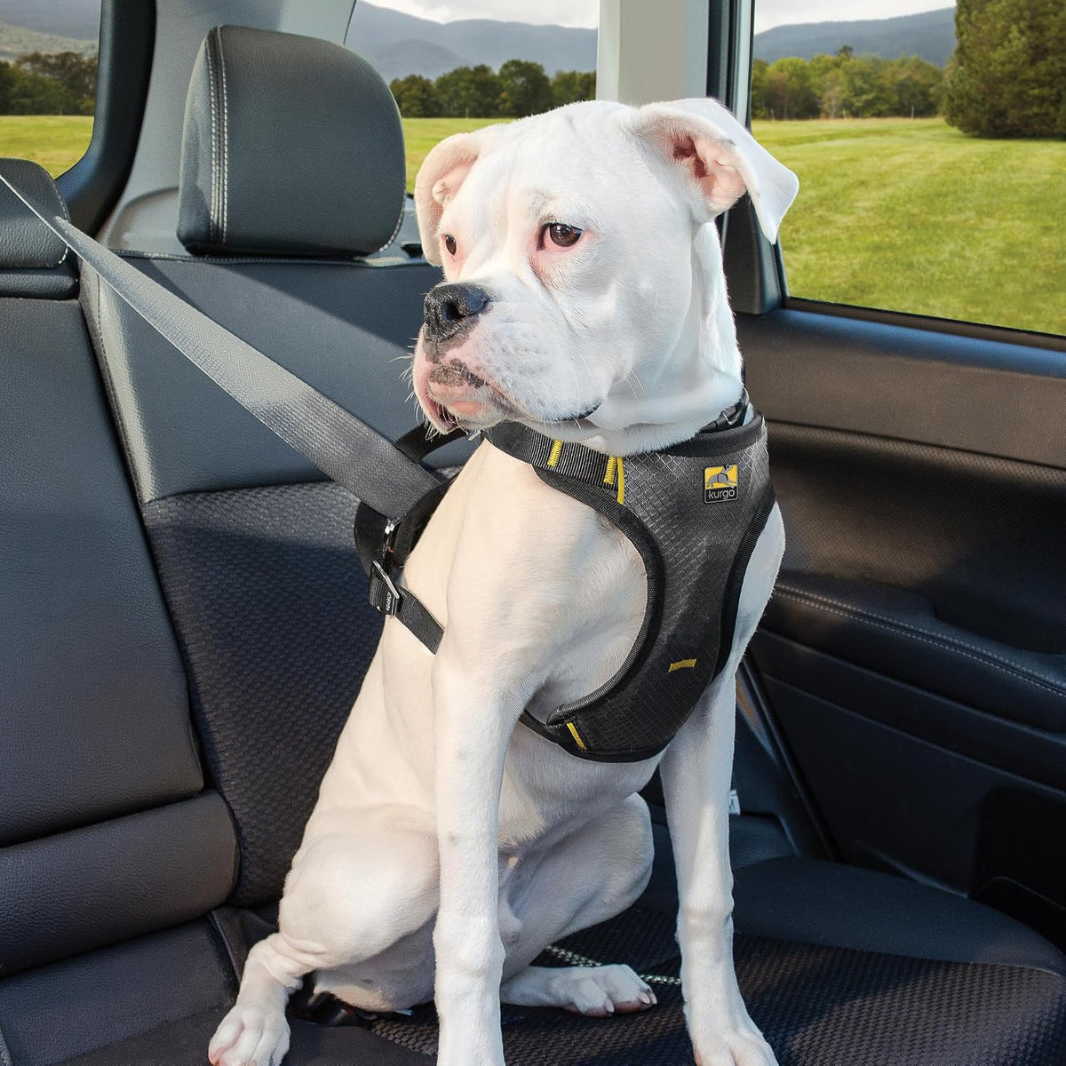 Impact Harness, Black/Charcoal, Extra Large