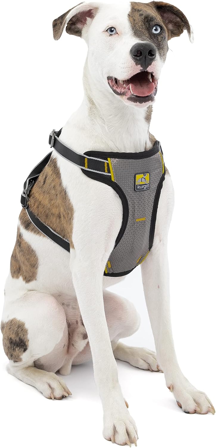 Impact Harness, Black/Charcoal, Extra Large
