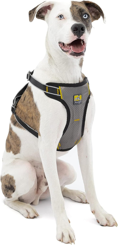 Impact Harness, Black/Charcoal, Extra Large