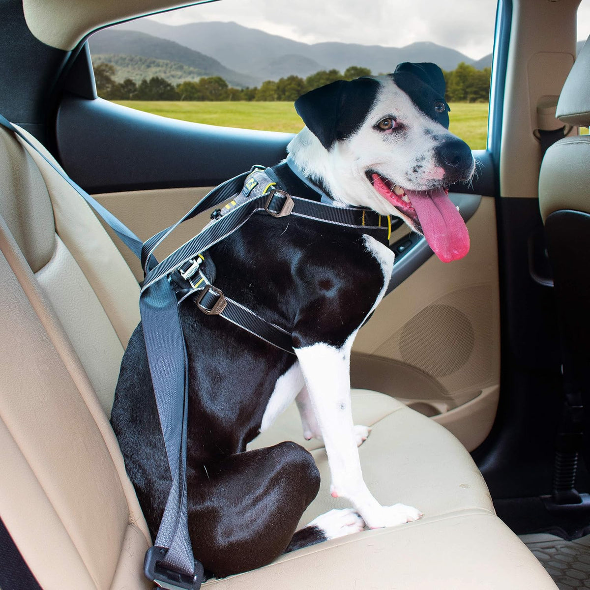 Impact Harness, Black/Charcoal, Extra Large