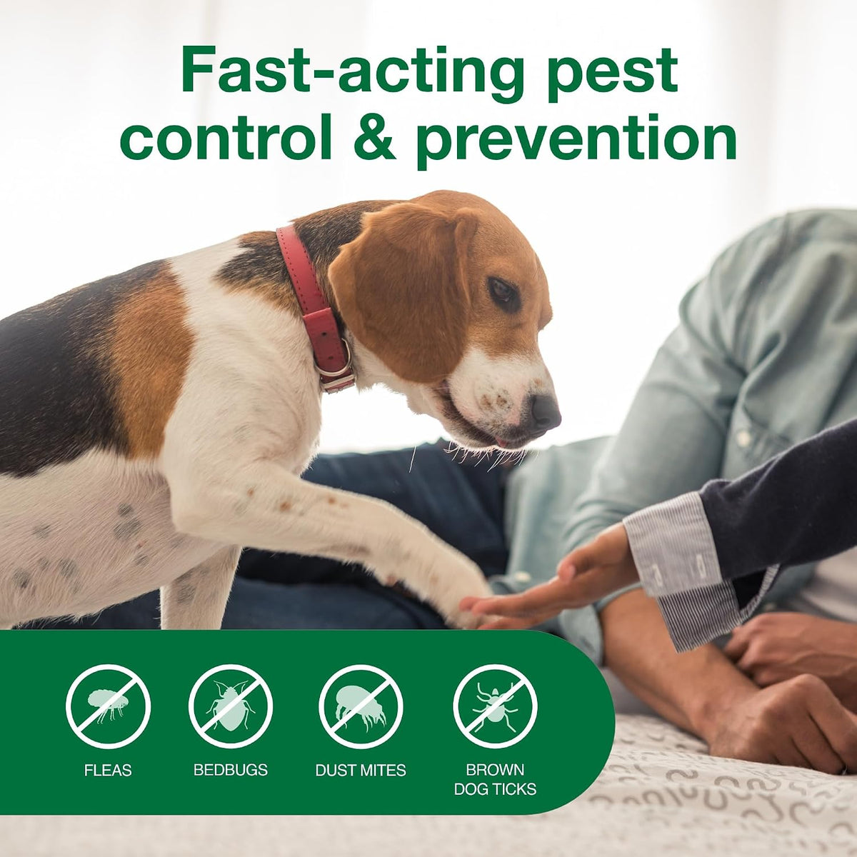 Carpet & Upholstery Spot Spray | Kills Fleas & Ticks & Bedbugs | 16 oz.