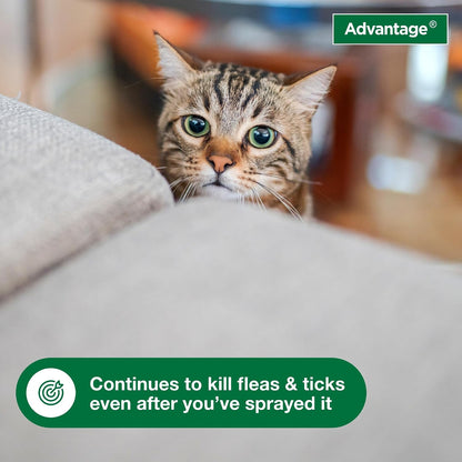 Carpet & Upholstery Spot Spray | Kills Fleas & Ticks & Bedbugs | 16 oz.