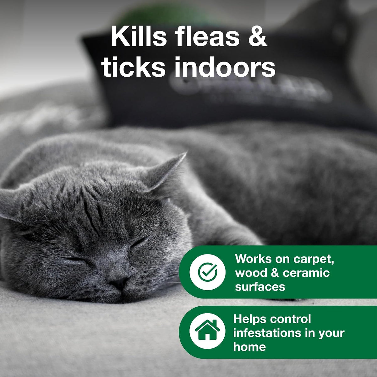 Carpet & Upholstery Spot Spray | Kills Fleas & Ticks & Bedbugs | 16 oz.