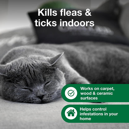 Carpet & Upholstery Spot Spray | Kills Fleas & Ticks & Bedbugs | 16 oz.