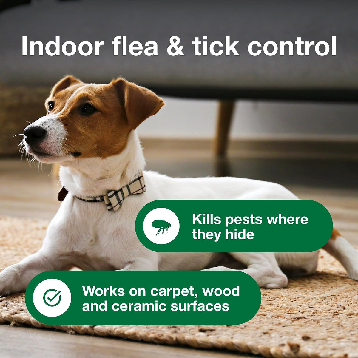 Carpet & Upholstery Spot Spray | Kills Fleas & Ticks & Bedbugs | 16 oz.