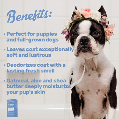 Dog Shampoo with Oatmeal, Aloe & Shea Butter – Deodorizing Puppy Shampoo for Smelly Dogs, Itchy Skin Relief, Paraben-Free, Biodegradable, Cruelty Free – 14 fl. oz