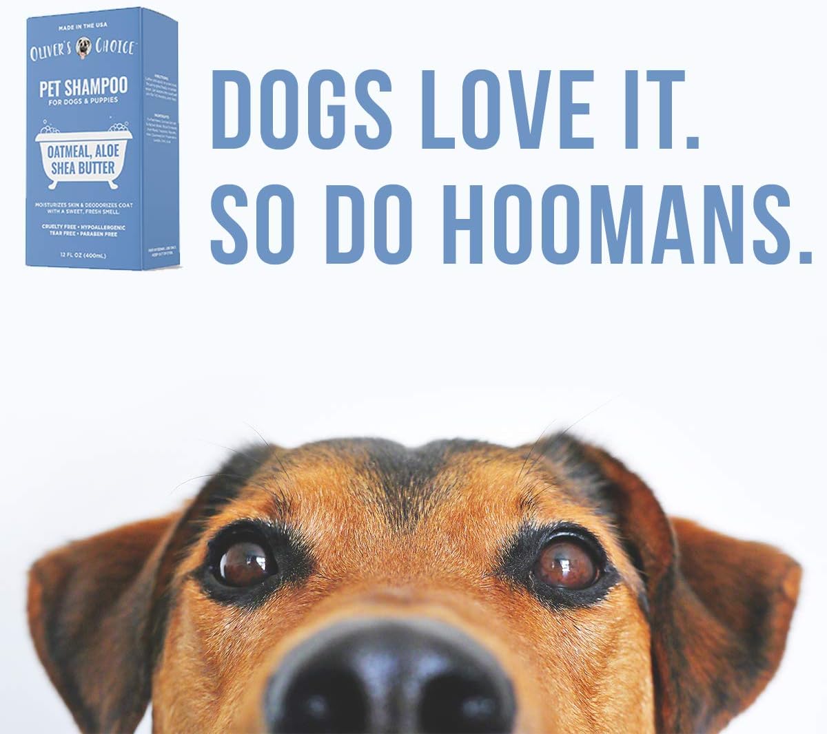 Dog Shampoo with Oatmeal, Aloe & Shea Butter – Deodorizing Puppy Shampoo for Smelly Dogs, Itchy Skin Relief, Paraben-Free, Biodegradable, Cruelty Free – 14 fl. oz