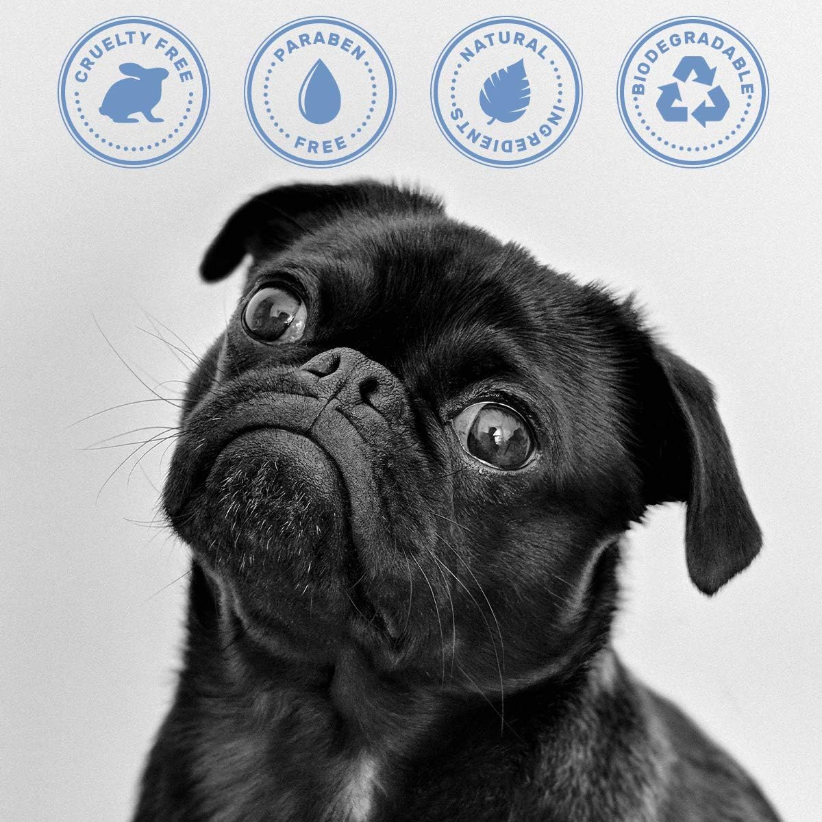 Dog Shampoo with Oatmeal, Aloe & Shea Butter – Deodorizing Puppy Shampoo for Smelly Dogs, Itchy Skin Relief, Paraben-Free, Biodegradable, Cruelty Free – 14 fl. oz