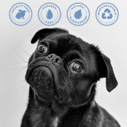 Dog Shampoo with Oatmeal, Aloe & Shea Butter – Deodorizing Puppy Shampoo for Smelly Dogs, Itchy Skin Relief, Paraben-Free, Biodegradable, Cruelty Free – 14 fl. oz