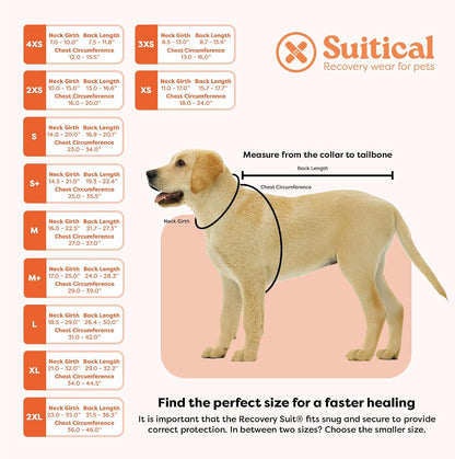 Recovery Suit for Dogs - Comfortable Post-Surgery Suit with Hold-Up System for Spay, Neuter, Skin Issues - Breathable, Cone-Free Option - Medium, Black - Neck to Base of Tail: 21.7 - 27.2 in