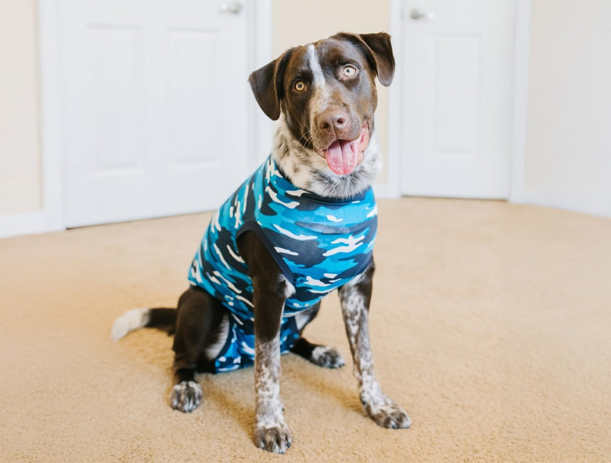 Recovery Suit for Dogs - Comfortable Post-Surgery Suit with Hold-Up System for Spay, Neuter, Skin Issues - Breathable, Cone-Free Option - Medium, Black - Neck to Base of Tail: 21.7 - 27.2 in