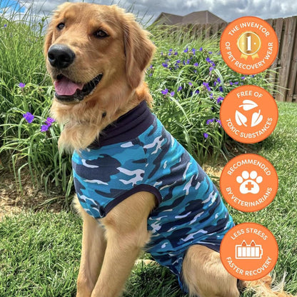 Recovery Suit for Dogs - Comfortable Post-Surgery Suit with Hold-Up System for Spay, Neuter, Skin Issues - Breathable, Cone-Free Option - Medium, Black - Neck to Base of Tail: 21.7 - 27.2 in