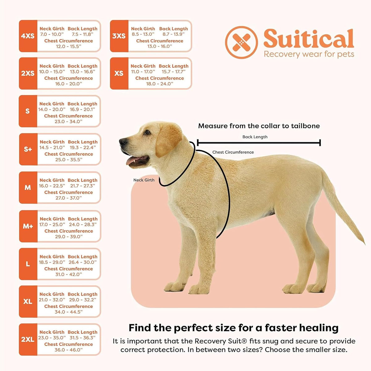 Recovery Suit for Dogs - Comfortable Post-Surgery Suit with Hold-Up System for Spay, Neuter, Skin Issues - Breathable, Cone-Free Option - Medium, Black - Neck to Base of Tail: 21.7 - 27.2 in