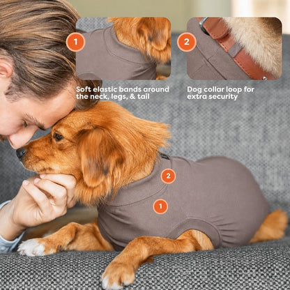 Recovery Suit for Dogs - Comfortable Post-Surgery Suit with Hold-Up System for Spay, Neuter, Skin Issues - Breathable, Cone-Free Option - Medium, Black - Neck to Base of Tail: 21.7 - 27.2 in