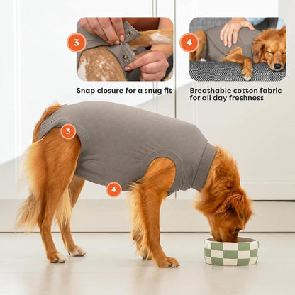 Recovery Suit for Dogs - Comfortable Post-Surgery Suit with Hold-Up System for Spay, Neuter, Skin Issues - Breathable, Cone-Free Option - Medium, Black - Neck to Base of Tail: 21.7 - 27.2 in