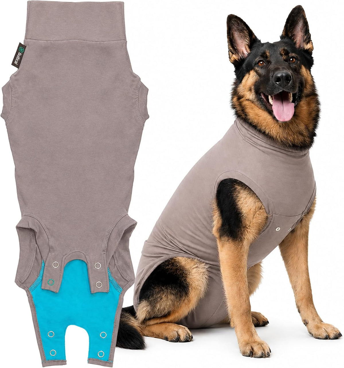 Recovery Suit for Dogs - Comfortable Post-Surgery Suit with Hold-Up System for Spay, Neuter, Skin Issues - Breathable, Cone-Free Option - Medium, Black - Neck to Base of Tail: 21.7 - 27.2 in