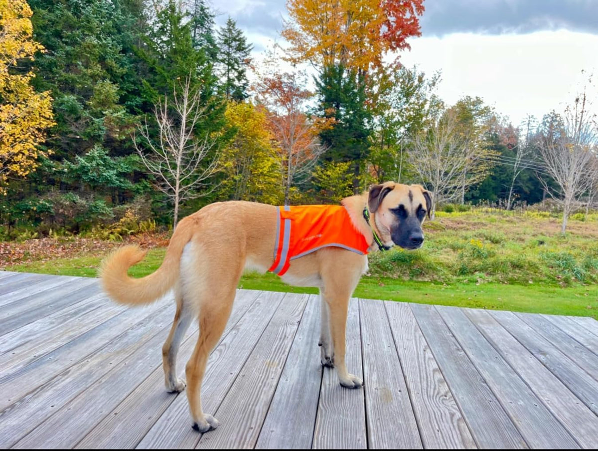 Lite Blaze Orange Reflective Dog Vest – High Visibility Hunting & Safety Vest with Lightweight Mid-Back Coverage. Apparel Gear for Small Medium and Large Breeds