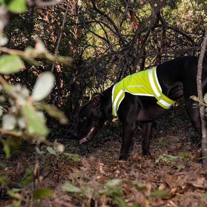 Lite Blaze Orange Reflective Dog Vest – High Visibility Hunting & Safety Vest with Lightweight Mid-Back Coverage. Apparel Gear for Small Medium and Large Breeds