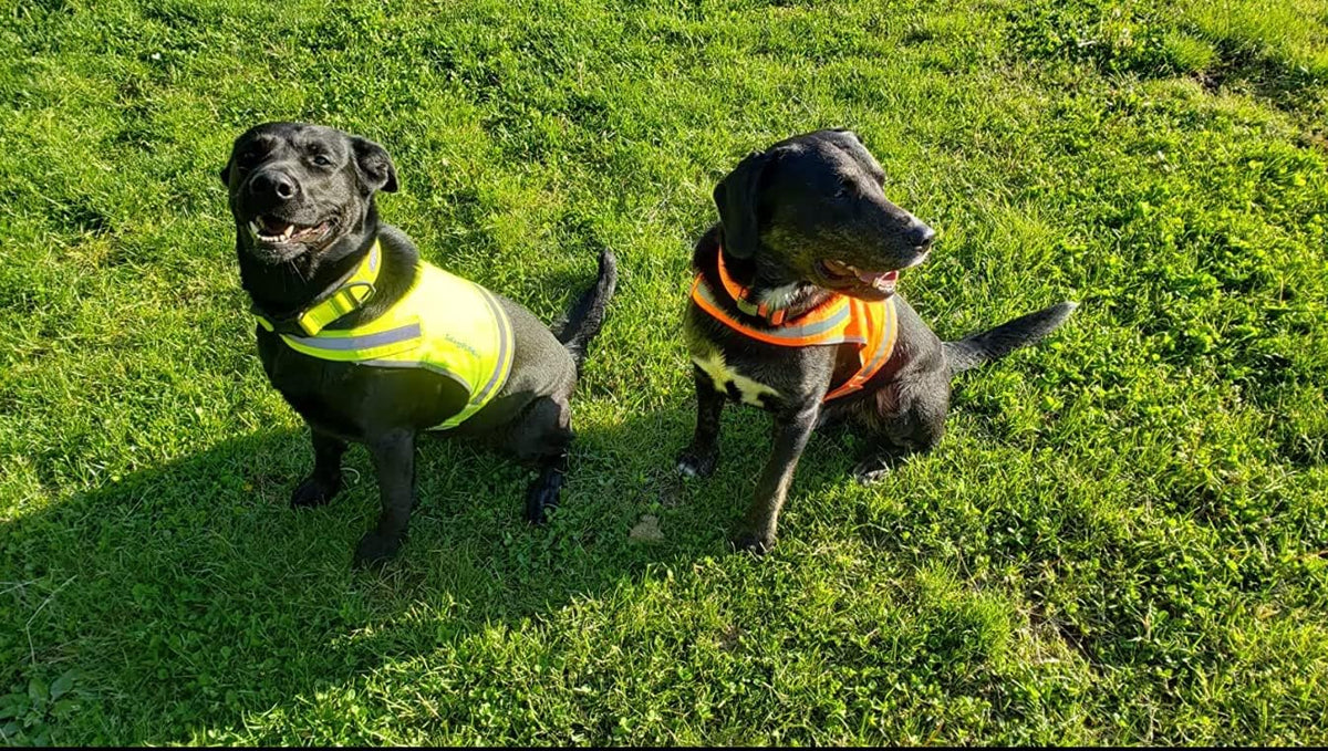 Lite Blaze Orange Reflective Dog Vest – High Visibility Hunting & Safety Vest with Lightweight Mid-Back Coverage. Apparel Gear for Small Medium and Large Breeds