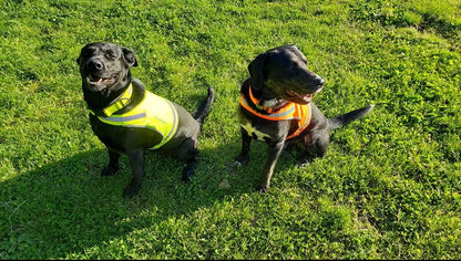 Lite Blaze Orange Reflective Dog Vest – High Visibility Hunting & Safety Vest with Lightweight Mid-Back Coverage. Apparel Gear for Small Medium and Large Breeds