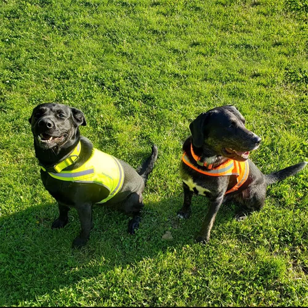 Lite Blaze Orange Reflective Dog Vest – High Visibility Hunting & Safety Vest with Lightweight Mid-Back Coverage. Apparel Gear for Small Medium and Large Breeds