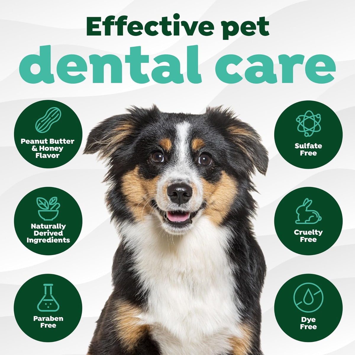 Fresh Breath Dog Tooth Brushing Kit, Peanut Butter Flavor | dog toothpaste