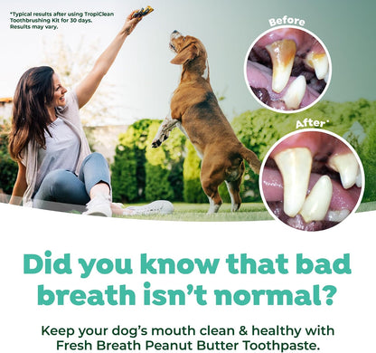 Fresh Breath Dog Tooth Brushing Kit, Peanut Butter Flavor | dog toothpaste