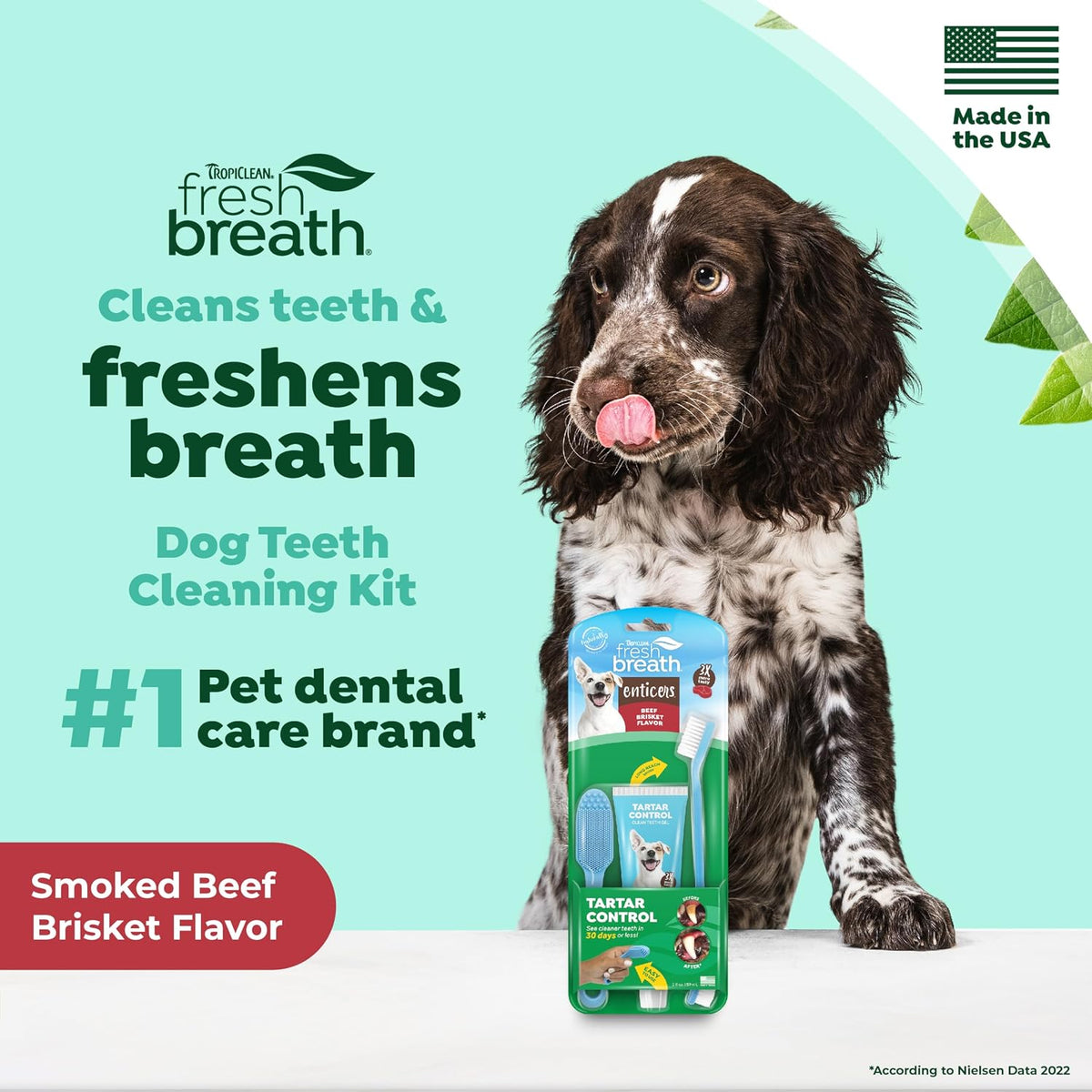 Fresh Breath Dog Tooth Brushing Kit, Peanut Butter Flavor | dog toothpaste